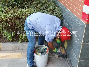 小谷围安装灭鼠器工程