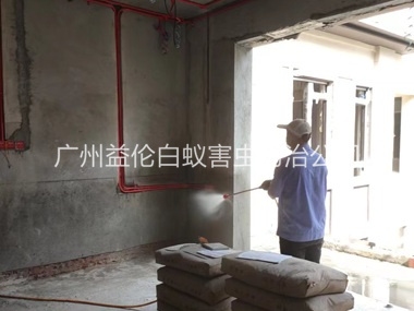 番禺装修预防白蚁工程