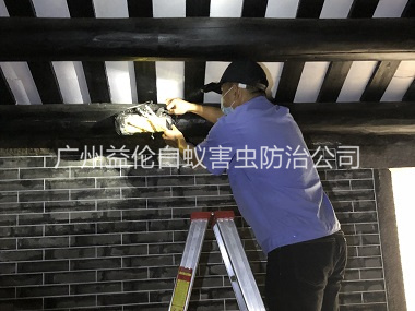 洛浦祠堂杀灭白蚁工程
