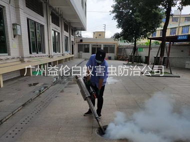 大石下水道治蚊虫工程