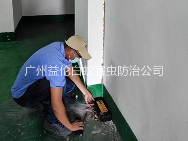 大石电机房灭杀白蚁工程