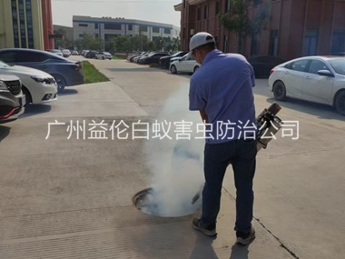 石碁登革热防控消杀工程