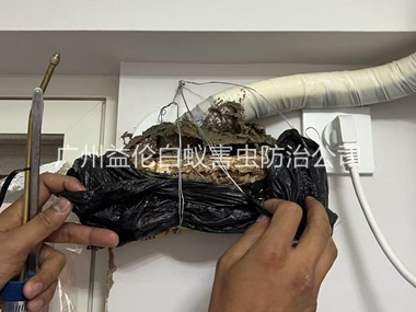 番禺房屋白蚁诱杀工程