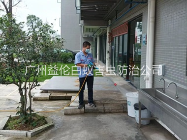洛浦外环境消杀四害工程